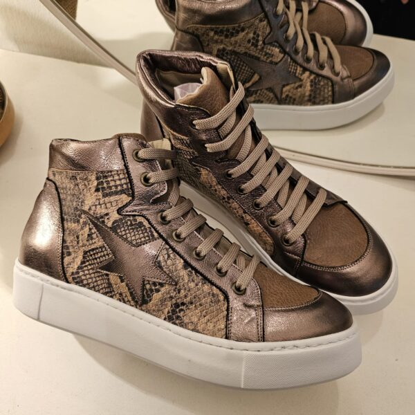 PONTIAC ZAPA BOTITAS